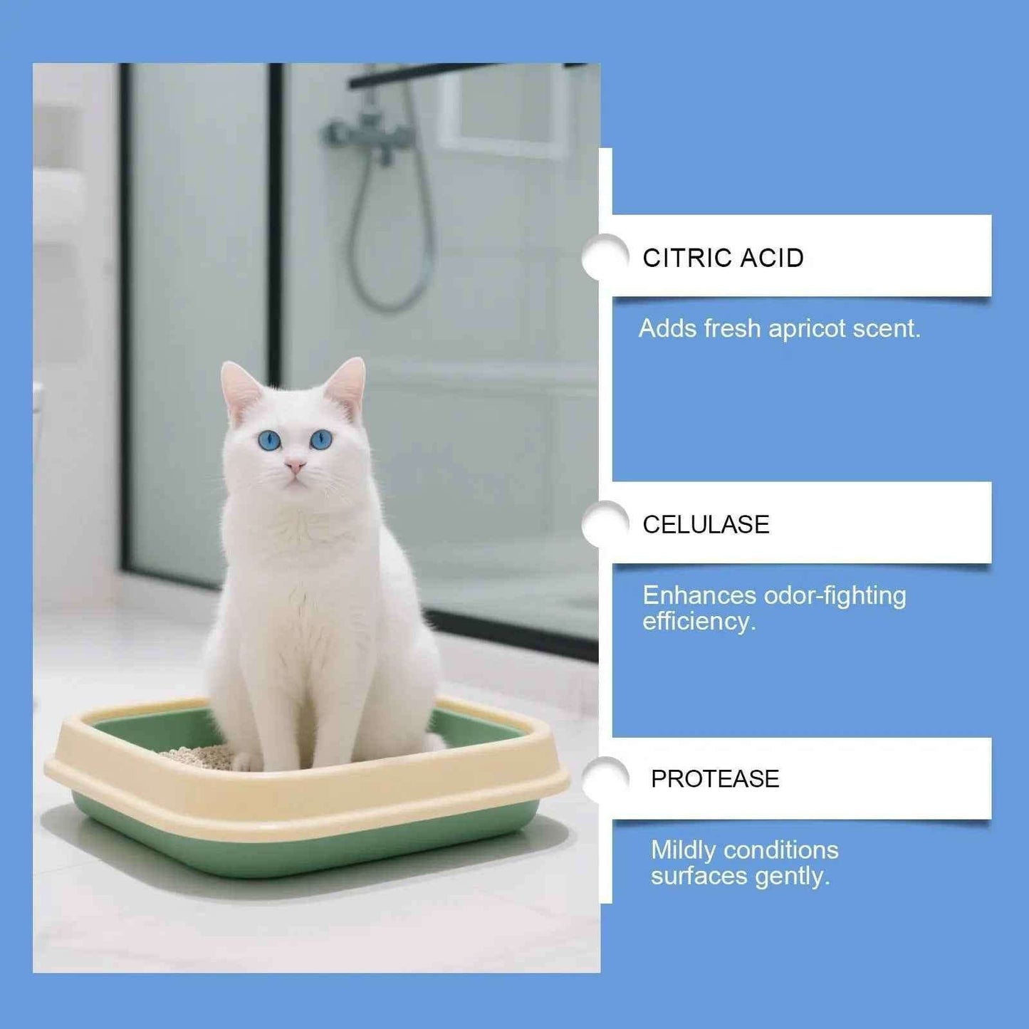 OdorShield™ — Bio-Enzymatic Stain Eraser