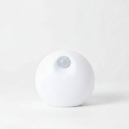 Smart Pet Deodorizer Home Litter Basin Companion Air Purifier