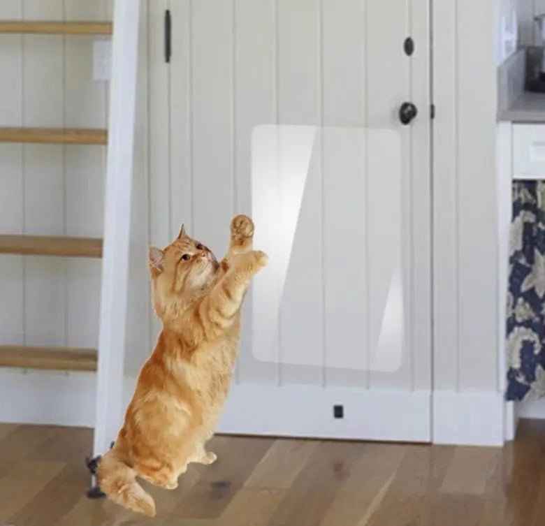 ScratchGuard™ — Invisible Sofa Protector